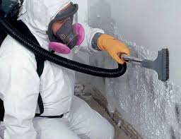 Why You Should Choose Our Mold Remediation Services in Menands, NY